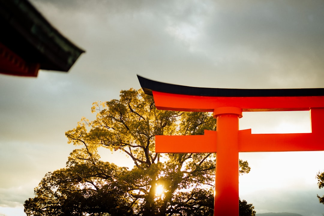Kyoto Japan torii gates at golden hour sunset