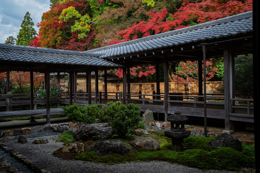 Serene Kyoto temple garden with autumn maple foliage