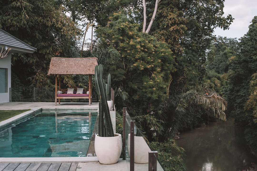 white and blue swimming pool near green trees during daytime